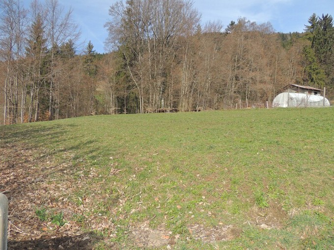 Nos terrains à la vente Immobilier à Saint-Jean-de-Sixt 1567m2