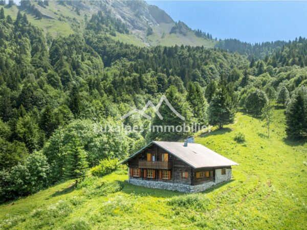 Chalet d'alpage traditionnel savoyard en très bon état