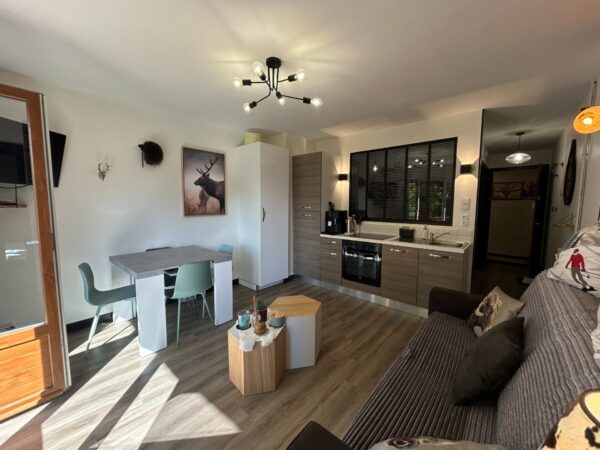 T2 BIS meublé avec garage au cœur du Grand Bornand